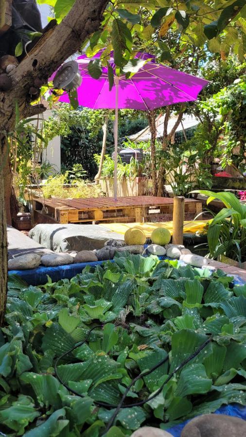 Laughing Buddha Guest House & Villa Katmandu Dış mekan fotoğraf